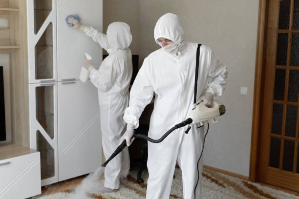 Best Commercial Mold Remediation in Maxwell, CA